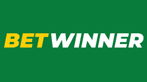 Everything You Need to Know About BetWinner A Comprehensive Guide Everything You Need to Know About BetWinner A Comprehensive Guide
