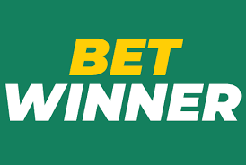 Exploring BetWinner CI Your Guide to the Premier Betting Experience