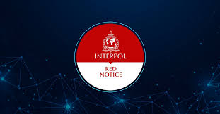 Understanding the Role of Interpol Defense Lawyers 1332237973