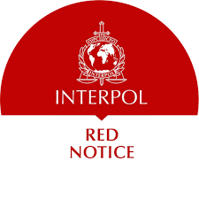 Understanding the Role of Interpol Defense Lawyers 1334707035